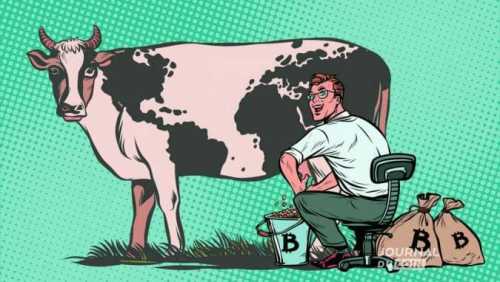 Miner du bitcoin grâce à de l’herbe et à des vaches ? La méthanisation au service des paysans