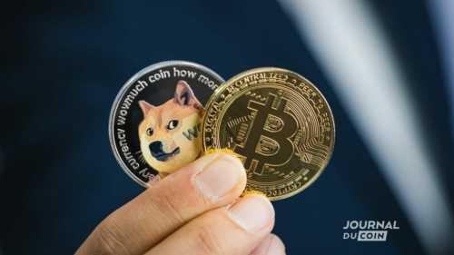 Le Dogecoin (DOGE) et les altcoins sombrent (-30 %) – Analyse crypto