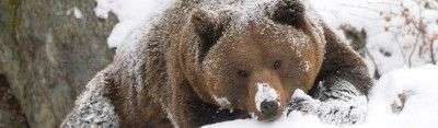 Цена биткоина держится выше $9000 — надежды медведей на «криптозиму» тают с каждым днём