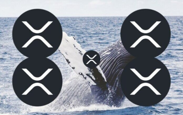 Les gros investisseurs et les investisseurs particuliers ont accumulé plus d'un milliard…