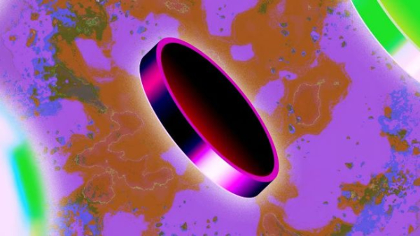 Rain a levé 250 millions de dollars et a atteint une valorisation de près…