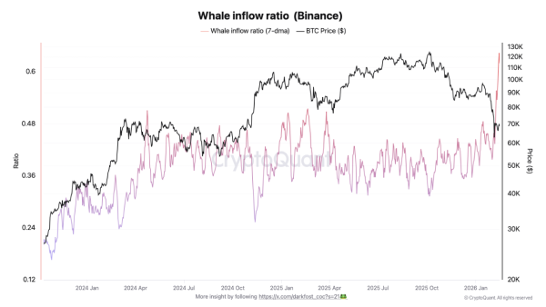 Ratio d'afflux de baleines (Bitcoin). Source : CryptoQuant