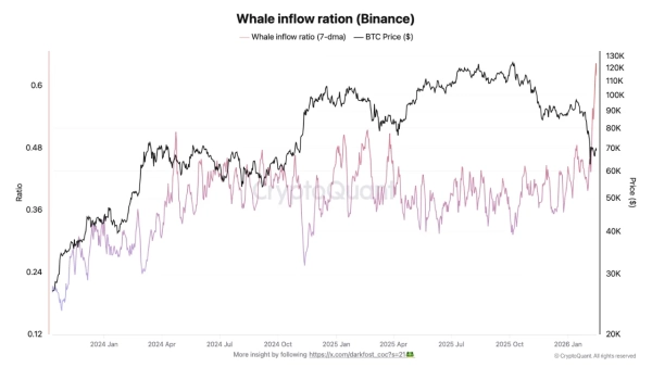 Affluence de baleines sur Binance