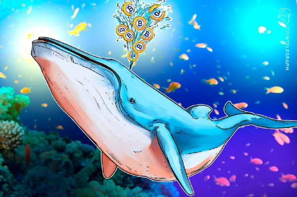 CryptoQuant : L’afflux de baleines Bitcoin sur les plateformes d’échange s’est accru dans…