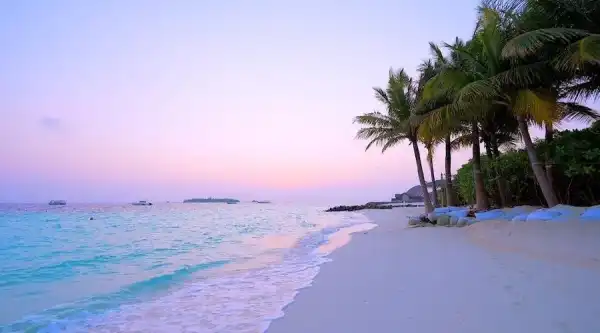 La société de Trump tokenise les revenus d'un complexe hôtelier en construction…