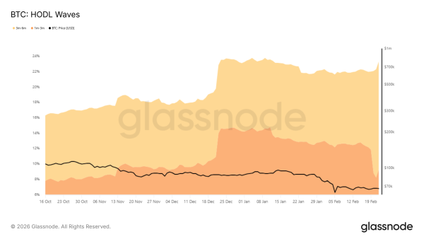 Vagues de HODL Bitcoin