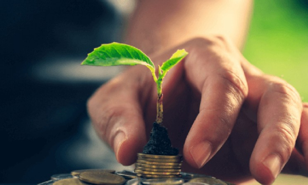 Face à la détérioration des rendements des investissements traditionnels, les fonds d'investissement…