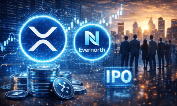 Evernorth enregistre une perte de 233,7 millions de dollars en raison de…