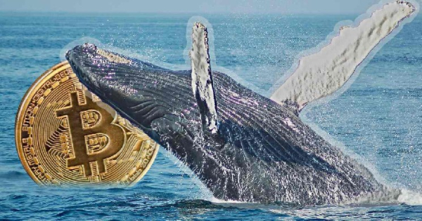 Une baleine qui avait méthodiquement accumulé des Bitcoins a vendu ses BTC…