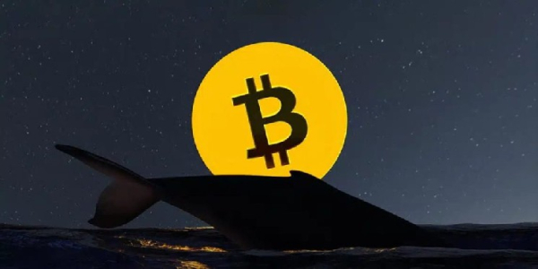 Un investisseur qui avait acheté du Bitcoin à bas prix il y…