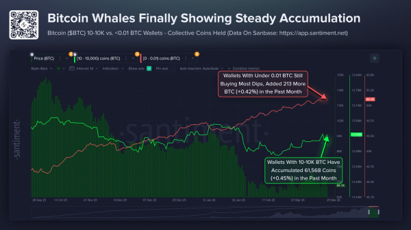 Accumulation de bitcoins par les baleines et les investisseurs particuliers