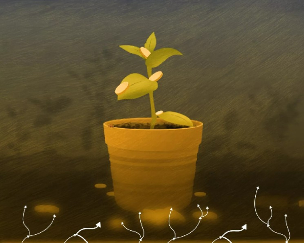 Le fondateur de Transak : Les fonds de capital-risque ont changé les règles du financement des startups crypto.