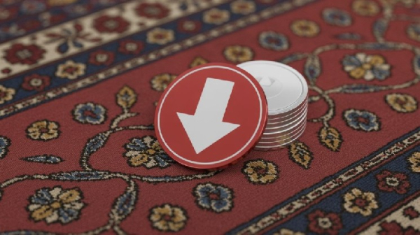 Les développeurs répondent aux accusations de manipulation du jeton RAVE !