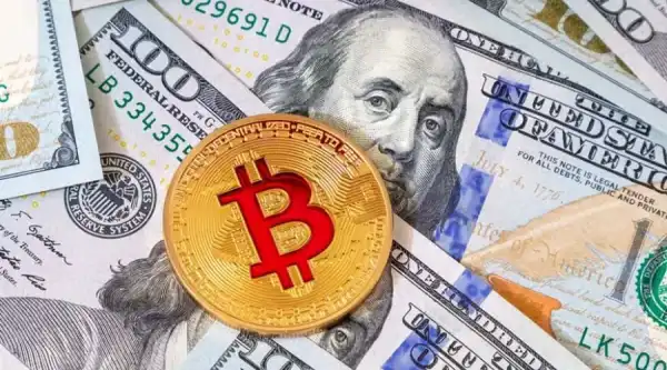 Bitcoin Policy Institute : Bitcoin et les stablecoins libellés en dollars ont formé…