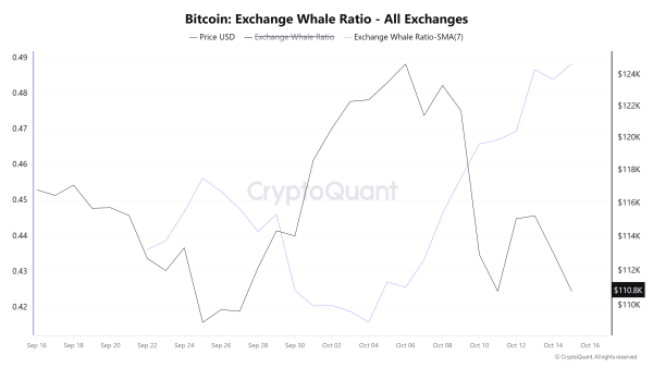 Ratio baleine sur les plateformes d'échange de bitcoins. Source : CryptoQuant.
