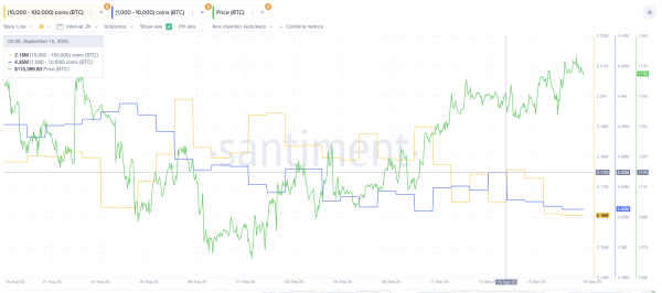 Ventes des grands détenteurs de Bitcoin :