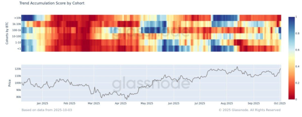 Indice d'accumulation des tendances du Bitcoin