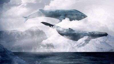 Биткоин-киты активизировались за последние 12 часов: Стоит ли беспокоиться инвесторам?