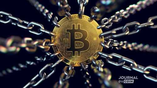 The Satoshi Action Fund : Bitcoin présenté comme un droit fondamental