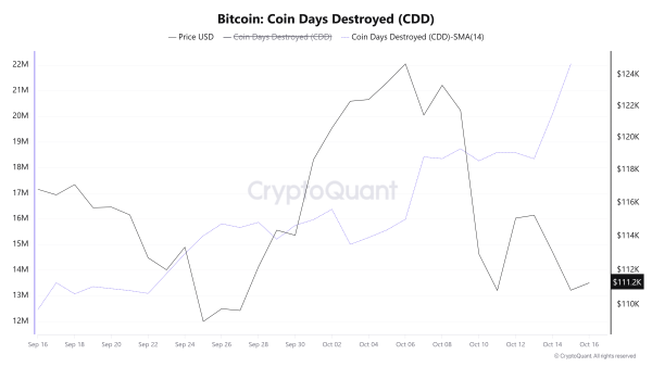 Nombre de jours de destruction du Bitcoin (CDD). Source : CryptoQuant.