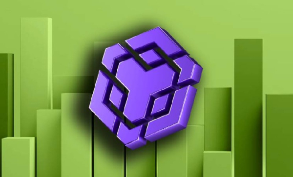 BNB Chain domine toutes les blockchains en termes d'afflux de capitaux ce mois-ci