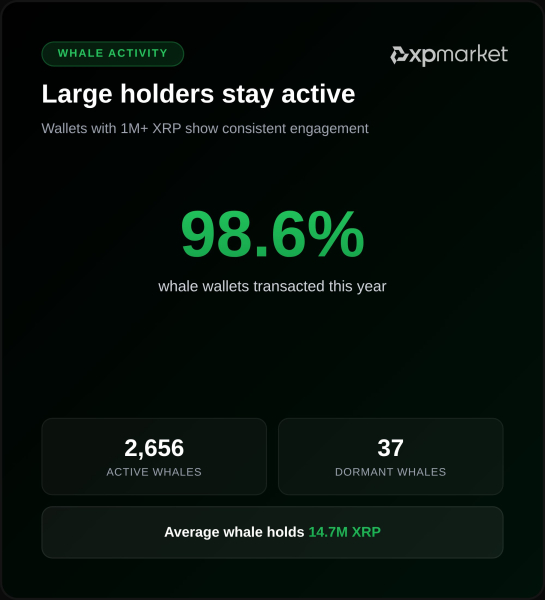 Activité du portefeuille XRP Ledger Whale XPMarket