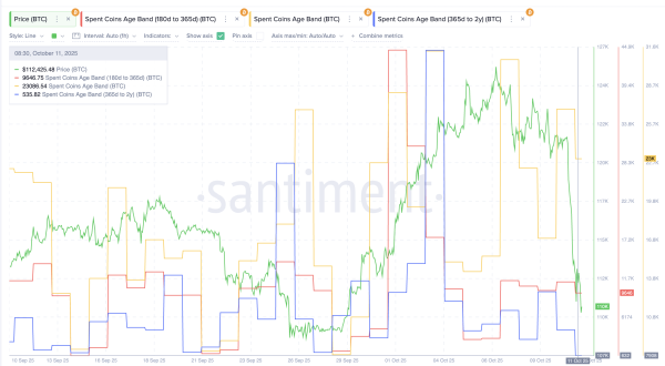 Indicateurs de dépenses par tranche d'âge (Bitcoin)