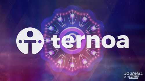 Ternoa peut-il devenir le projet phare de Polkadot ? un Testnet en guise de confirmation