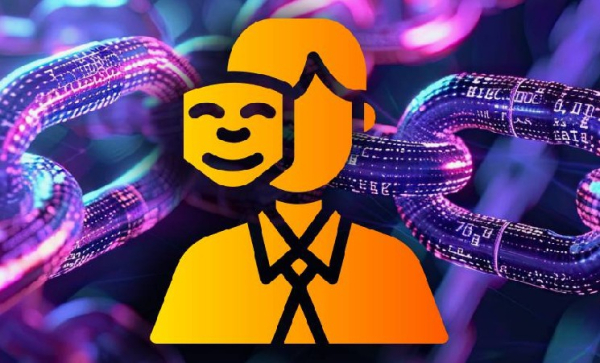 Un expert a accusé Mega de pratiques de levée de fonds agressives et d'agissements opaques envers les investisseurs.