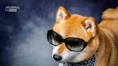 Plus d’1 million de portefeuilles sur Shibarium mais SHIBA INU traîne la patte