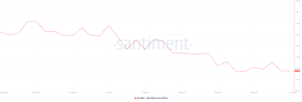 Répartition de l'offre de Bitcoin (BTC)