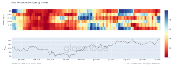 Tableau d'évaluation de l'accumulation des tendances