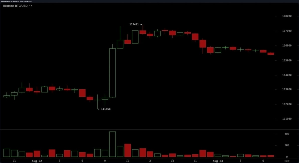 bitstamp_btc_usd-sat_23_août_07_3
